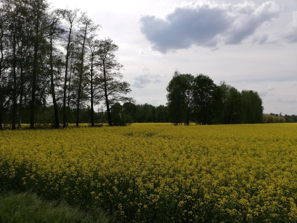 Am Waldrand Spreewald Ξενοδοχείο Burg  Εξωτερικό φωτογραφία
