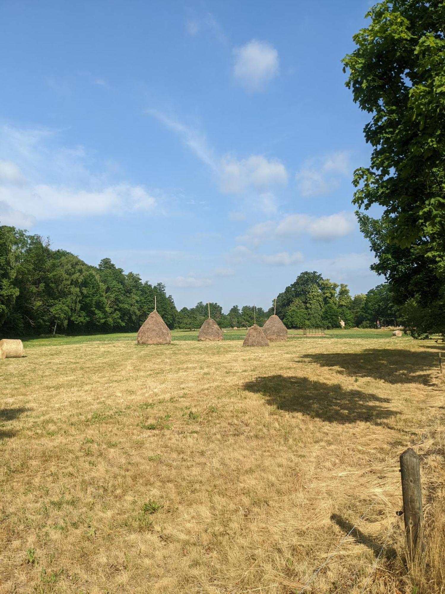 Am Waldrand Spreewald Ξενοδοχείο Burg  Εξωτερικό φωτογραφία